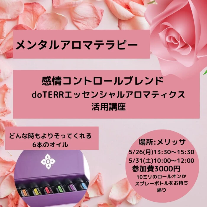 画像256