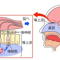 画像474