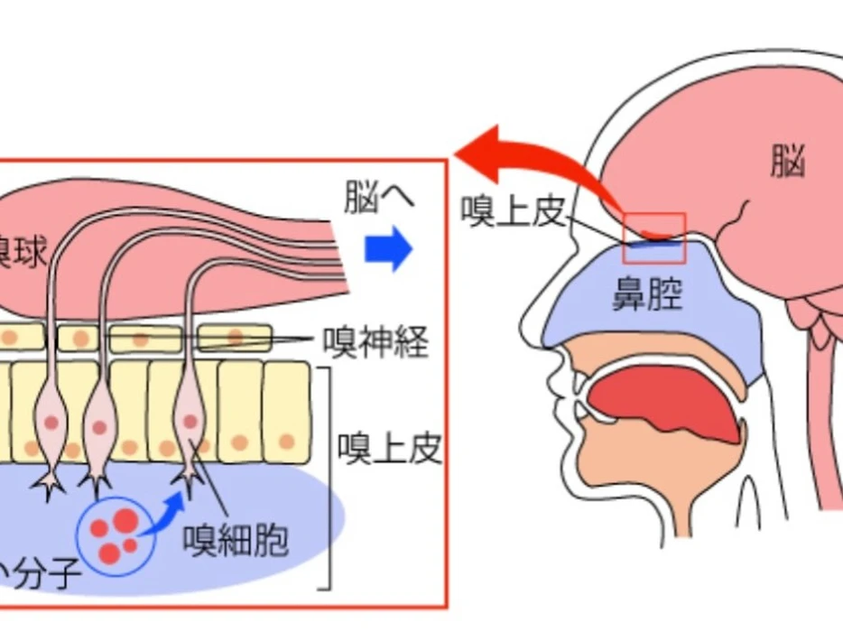 画像474