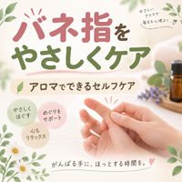 画像521