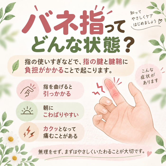 画像522