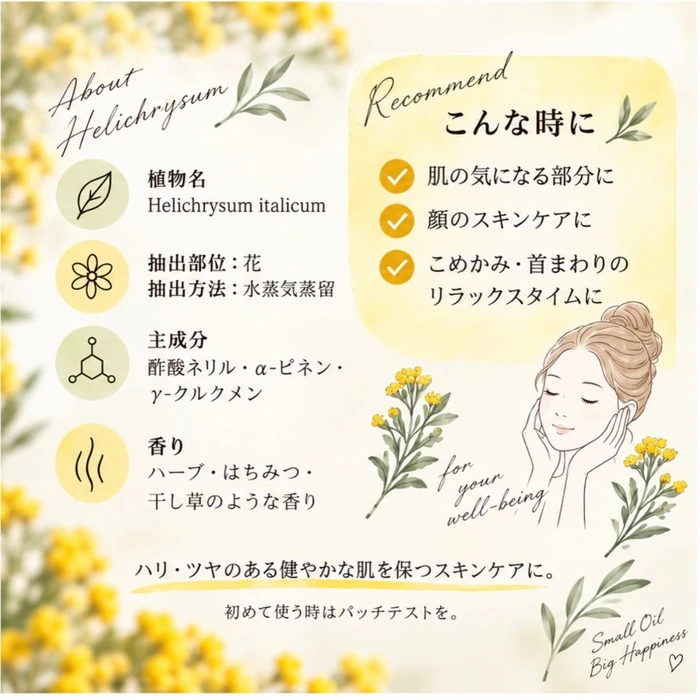 画像533