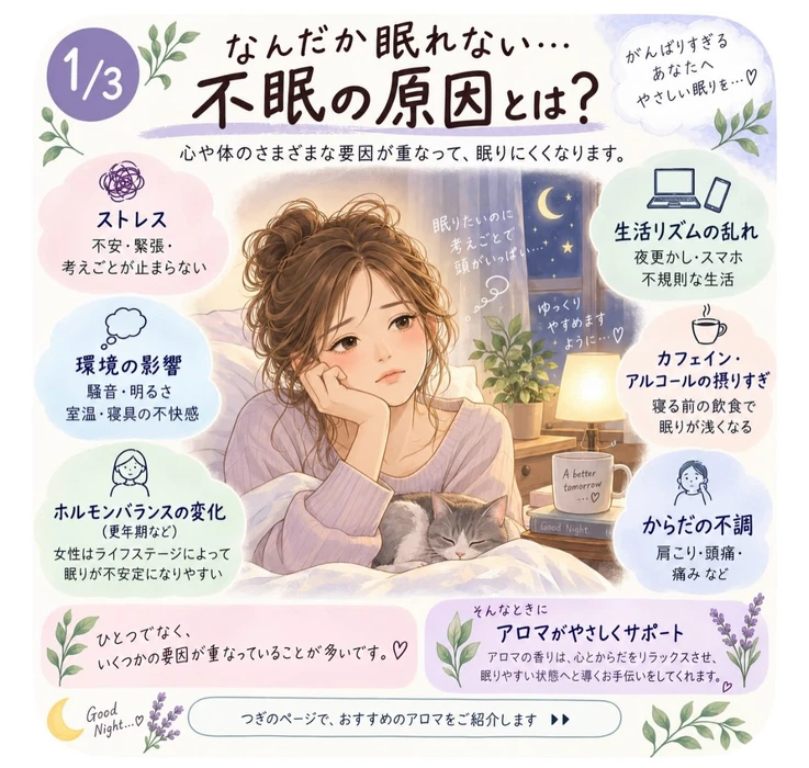 画像546