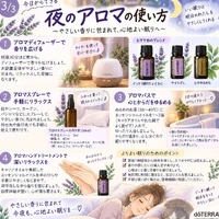 画像548