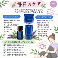 画像551