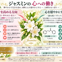 画像556