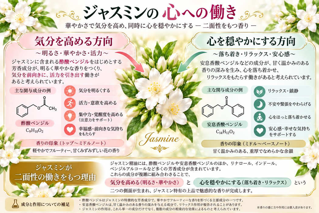 画像556
