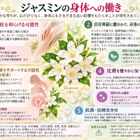 画像557