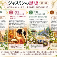 画像558