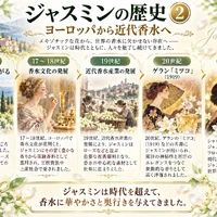 画像559